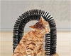 Brushing Kitty Scratcher Brush Scratching Groomer Pet Self Massager