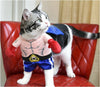 Pet Cat Boxer Standing Costume Cosplay Clothes