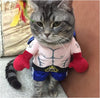 Pet Cat Boxer Standing Costume Cosplay Clothes