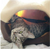 Warm Design Cat Sleeping Bag Mongolia Cat House