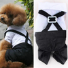 Prince Tuxedo Bow Tie Suit Puppy Costume